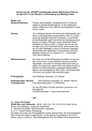 Bericht von der JZP/AZP Landesgruppe Hessen Mainfranken Pfalz ...