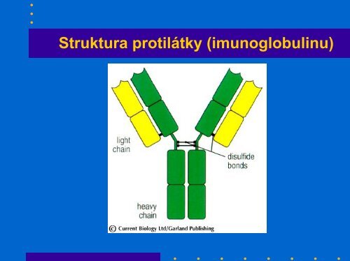 Imunitní mechanismy - Ústav imunologie
