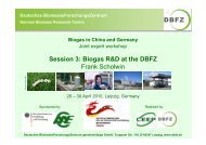 Prof. Frank Scholwin - Deutsches Biomasseforschungszentrum
