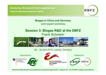 Prof. Frank Scholwin - Deutsches Biomasseforschungszentrum