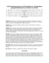 1234 Changing Scenario of Pink Bollworm, Pectinophora gossypiella