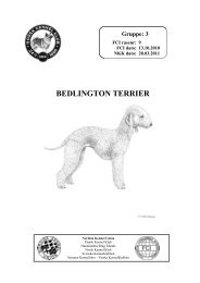 BEDLINGTON TERRIER - Norsk Kennel Klub