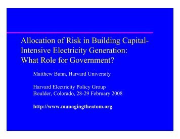 Allocation of Risk in Building Capital- Intensive Electricity Generation