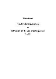 Theories of Fire, Fire Extinguishment & Instruction of the use of ...