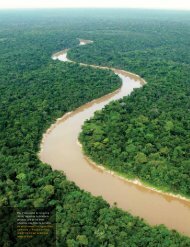FIG. 1 Vista aérea de la cuenca del río Yaguas en la Amazonía ...