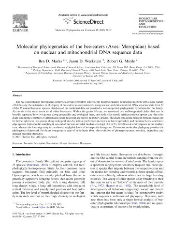 Molecular phylogenetics of the bee-eaters (Aves: Meropidae) based ...