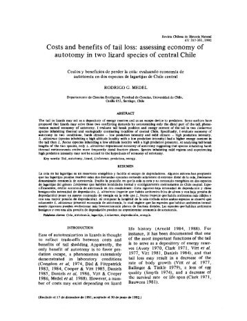 Costs and benefits of tail loss: assessing economy of autotomy in ...