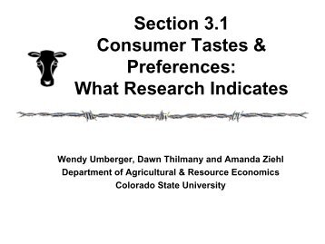 Chapter 4 Consumer Tastes and Preferences: What Research ...