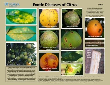 Citrus Diseases Exotic to Florida: Identification Sheet