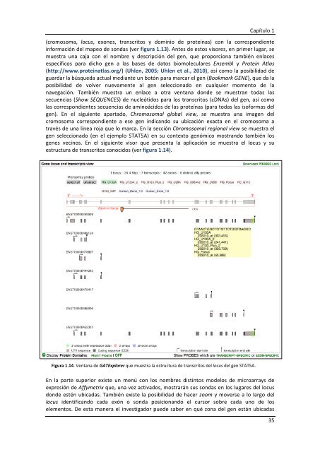 Alberto Risueño Pérez - Gredos - Universidad de Salamanca