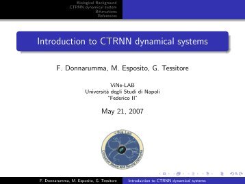 Introduction to CTRNN dynamical systems - INFN Napoli