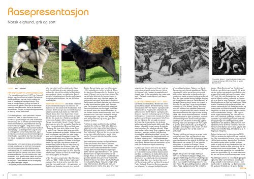 Rasepresentasjon - Norsk Kennel Klub