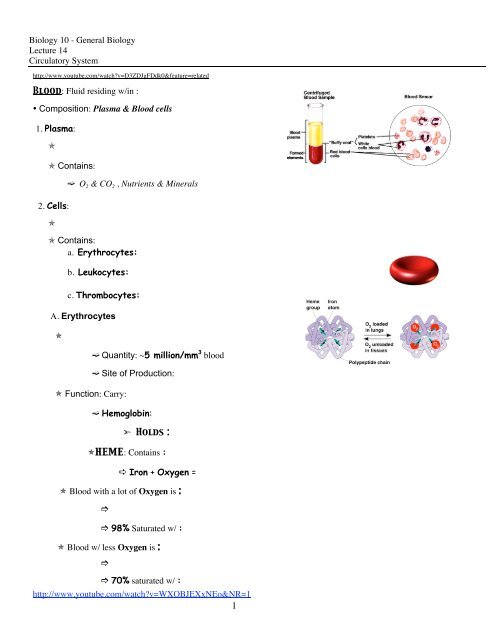 Biology 10 - General Biology Lecture 14 Circulatory System Blood ...