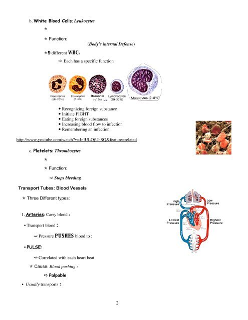 Biology 10 - General Biology Lecture 14 Circulatory System Blood ...