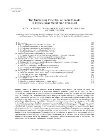 The Organizing Potential of Sphingolipids in Intracellular Membrane ...
