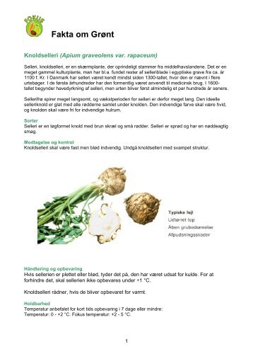 Knoldselleri - FoodSam