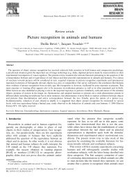 Picture recognition in animals and humans - Cogprints