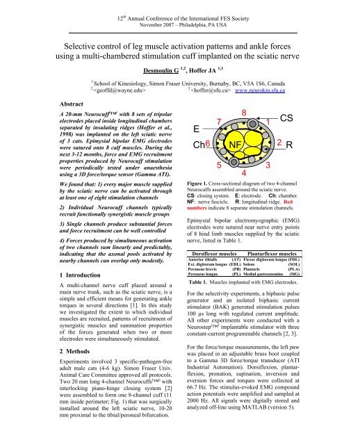 Selective control of leg muscle activation patterns and ankle