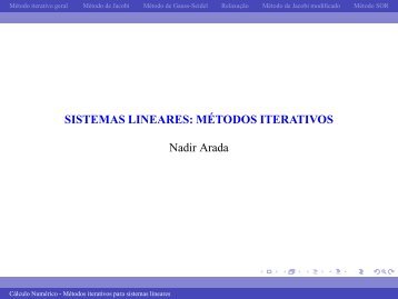 Nadir Arada - Cálculo Numérico - Portal de docentes FCT/UNL