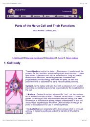 axon to dendrite to cell body axon to dendrite to cell body