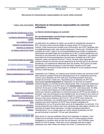 La théorie sérotoninergique du sommeil - Le cerveau à tous les ...