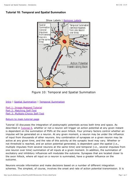 Tutorial 10: Temporal and Spatial Summation Figure 10: Temporal ...