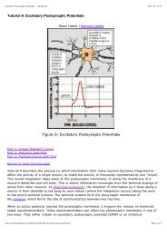 Tutorial 9: Excitatory Postsynaptic Potentials Figure 9: Excitatory ...