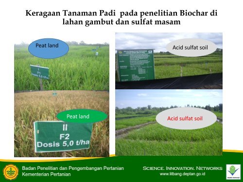 Model pertanian lahan rawa ramah lingkungan.pdf - Balai Penelitian ...