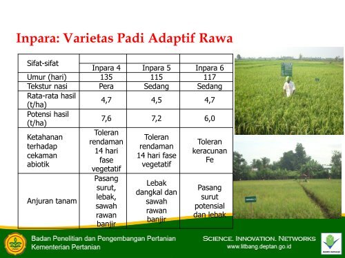 Model pertanian lahan rawa ramah lingkungan.pdf - Balai Penelitian ...