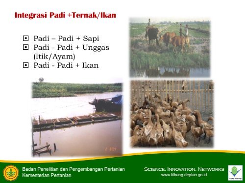 Model pertanian lahan rawa ramah lingkungan.pdf - Balai Penelitian ...