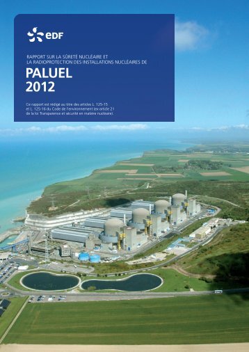Rapport ex-TSN 2012 - Energie EDF
