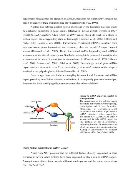 The role of human and Drosophila NXF proteins in nuclear mRNA ...