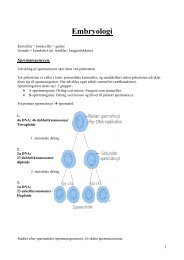 Embryologi
