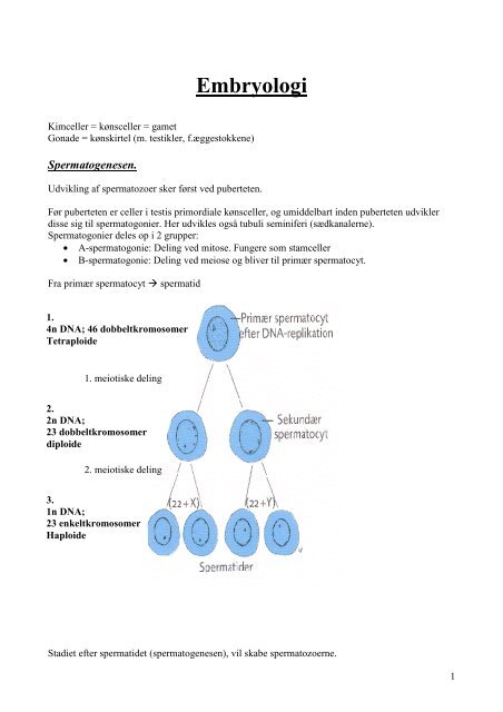 Embryologi