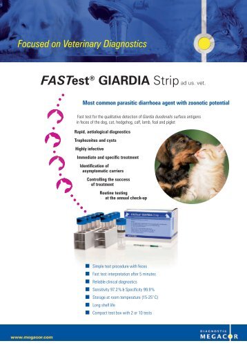 FASTest GIARDIA Strip ad us. vet. - megacor