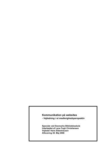 Kommunikation p websites - vejledning i et medieperspektiv
