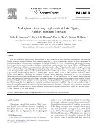 Palaeogeography, Palaeoclimatology, Palaeoecology 253