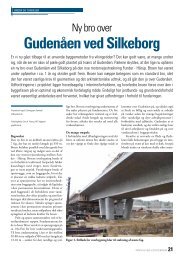 Gudenåen ved Silkeborg