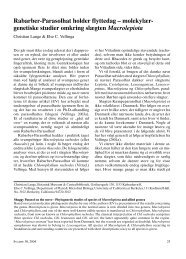 Rabarber-Parasolhat holder flyttedag