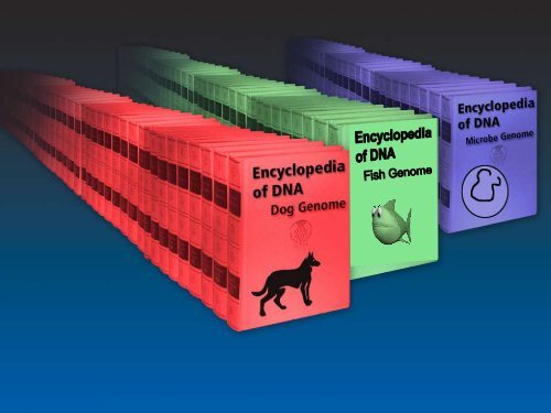 An Overview of Transgenic Fish - Department of Animal Science ...