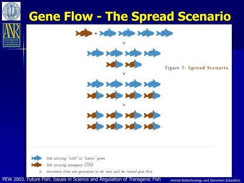 An Overview of Transgenic Fish - Department of Animal Science ...