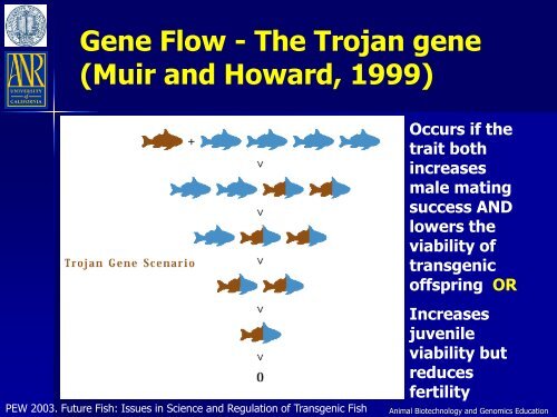 An Overview of Transgenic Fish - Department of Animal Science ...