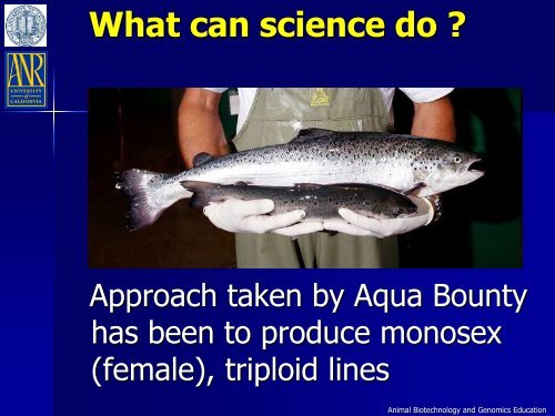 An Overview of Transgenic Fish - Department of Animal Science ...