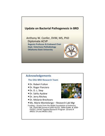 Bacterial Pathogenesis in BRD.pdf - Department of Animal Science