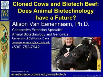 Cloned Cows and Biotech Beef: Does Animal Biotechnology have a ...