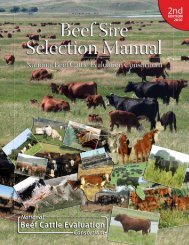 ASC-169: Beef Sire Selection Manual - Department of Animal Science