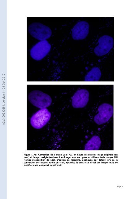 Analyse avec le logiciel imagej d'un lot d'images en microscopie par ...