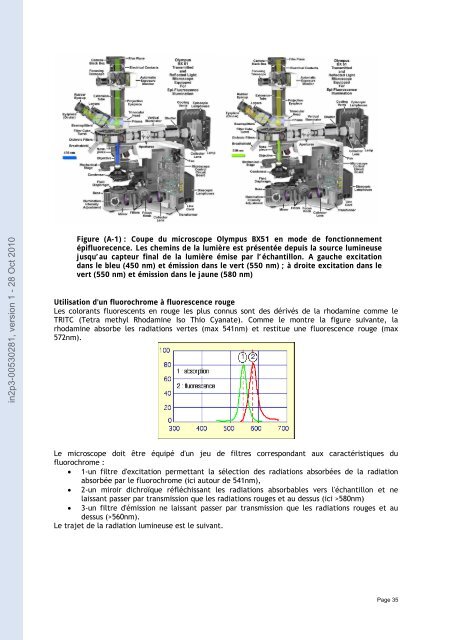 Analyse avec le logiciel imagej d'un lot d'images en microscopie par ...