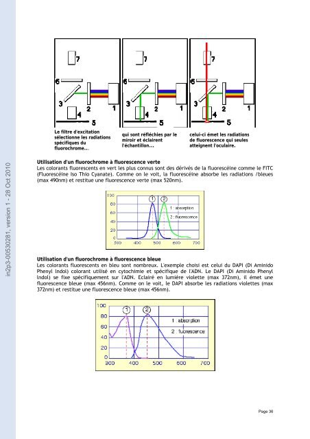 Analyse avec le logiciel imagej d'un lot d'images en microscopie par ...