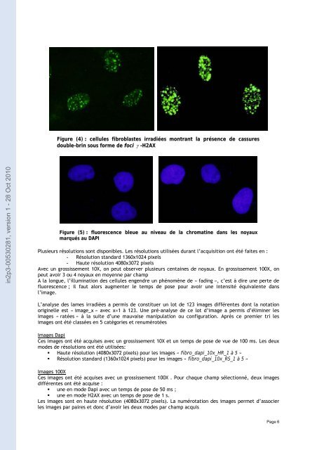 Analyse avec le logiciel imagej d'un lot d'images en microscopie par ...